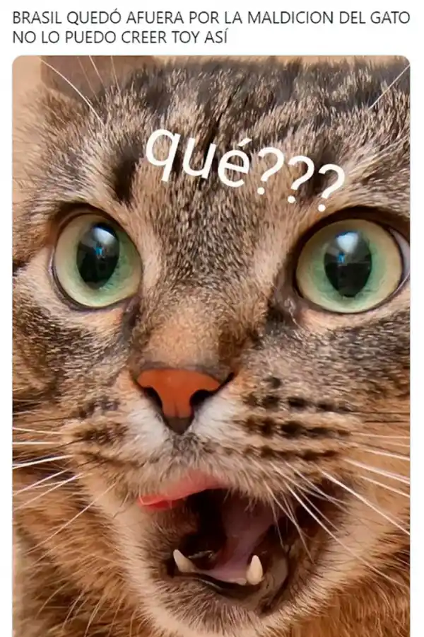 Mundial de Qatar: los mejores memes de la eliminación de Brasil