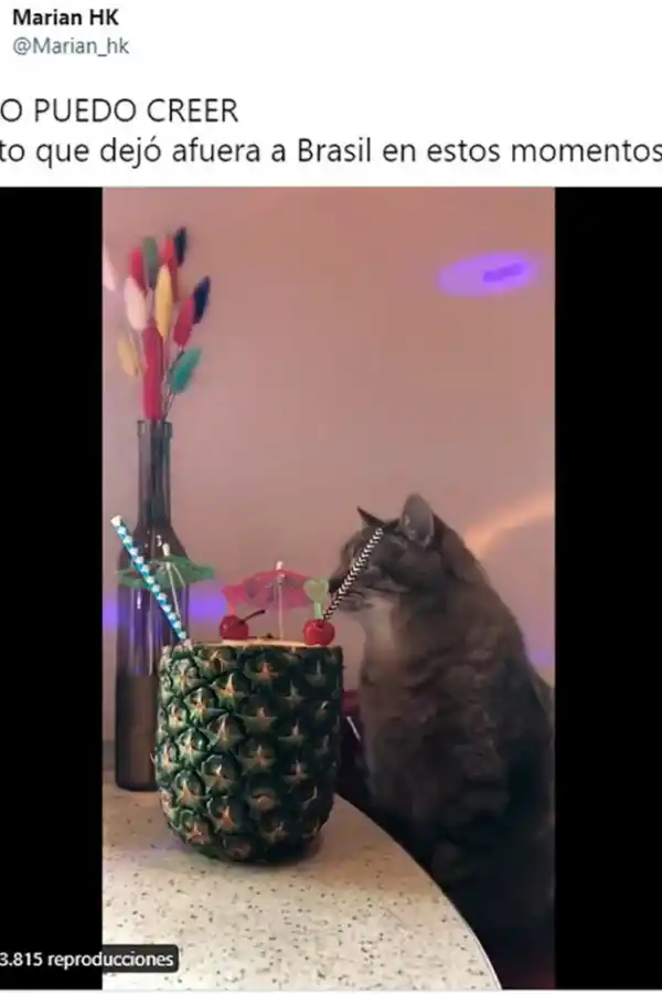 Mundial de Qatar: los mejores memes de la eliminación de Brasil