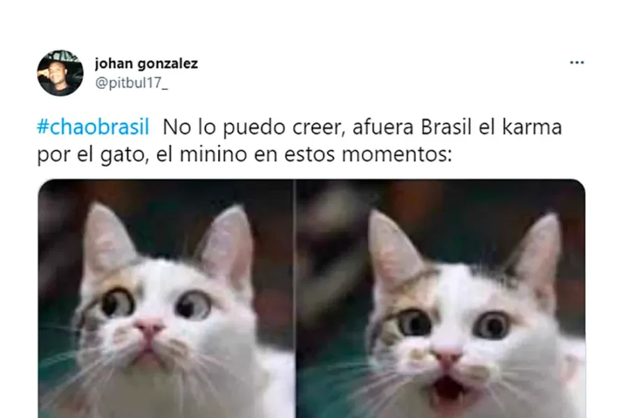 Mundial de Qatar: los mejores memes de la eliminación de Brasil