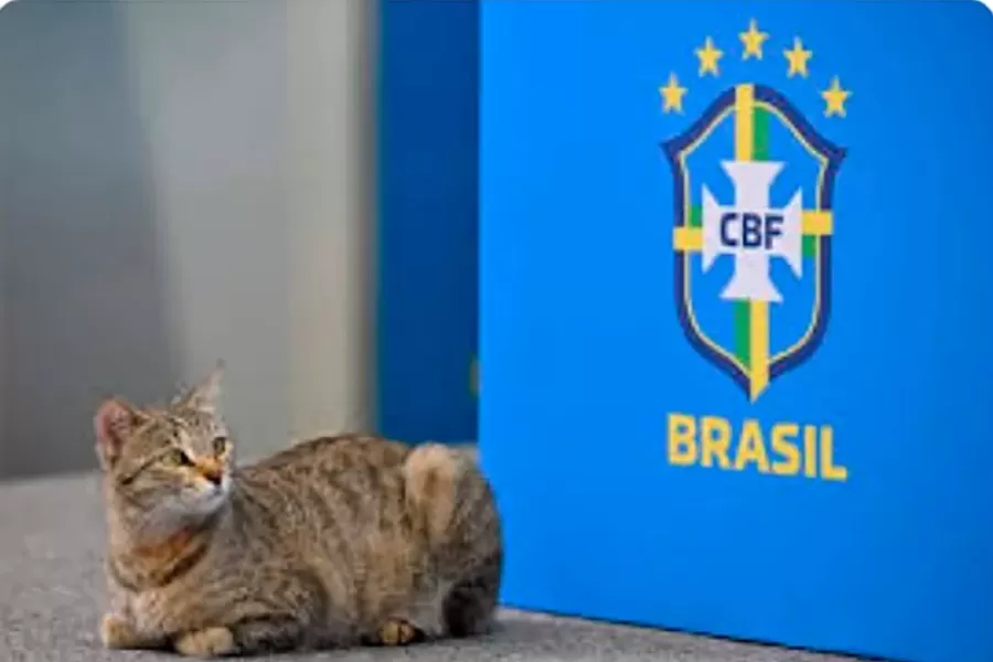 Mundial de Qatar: los mejores memes de la eliminación de Brasil