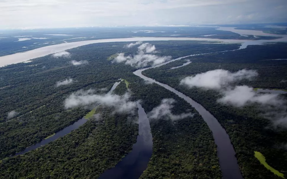 SIN LEY. Delitos ambientales y tráfico ilegal amenazan vidas en la selva. reuters 