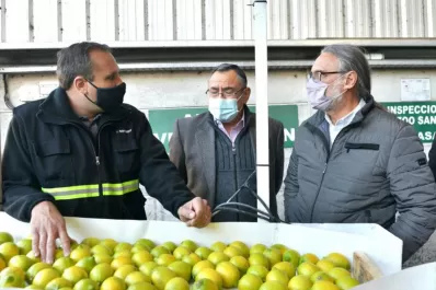 El Senasa lideró un importante mitin sobre cuestiones del citrus