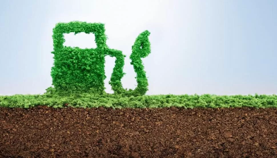 DATO. Los biocombustibles dan la oportunidad para la transición energética.    