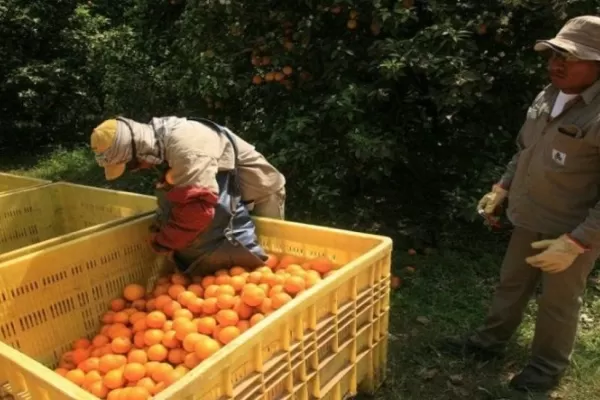 El Frente de Izquierda presentó un proyecto sobre intercosecha para trabajadores rurales