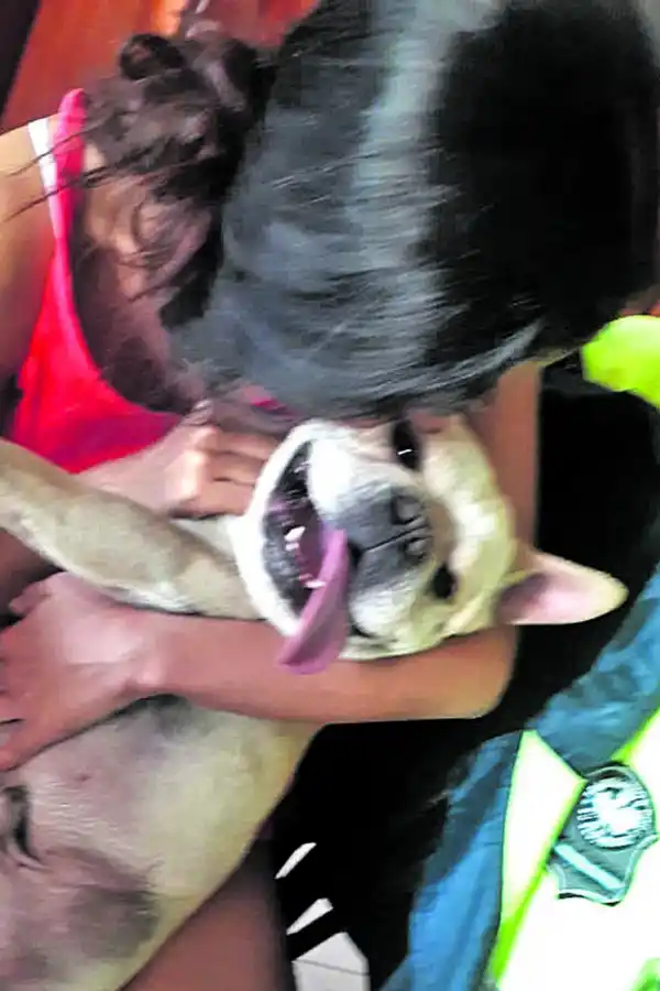 Condenan a un ladrón por un asalto