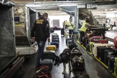 Contrabando de drogas: cárteles mexicanos y delincuentes europeos cooperan en el tráfico de metanfetamina