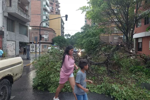 Árboles caídos y tránsito vehicular complicado en Tucumán, productos del temporal