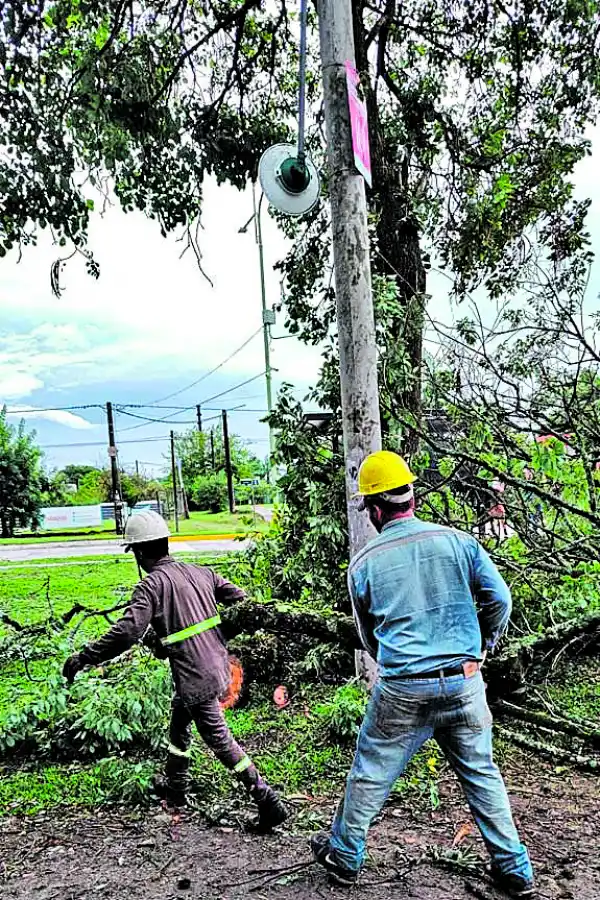 RÁPIDO. Los árboles caídos debieron ser removidos temprano.