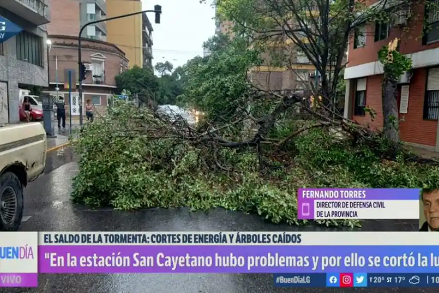 SIN VÍCTIMAS. En Laprida y Marcos Paz la caída de un arbol frenó la circulación vehicular durante unas horas. 