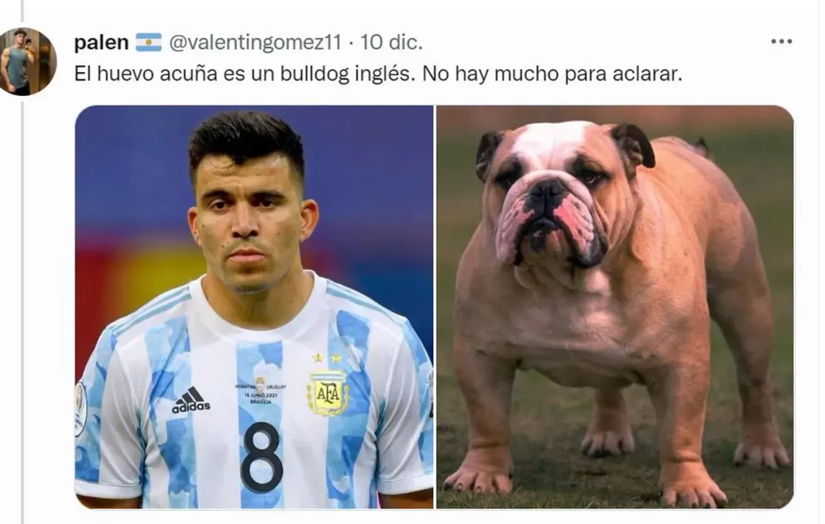 Desopilante: mirá el hilo de Twitter comparó a los jugadores de la Selección con perros de raza