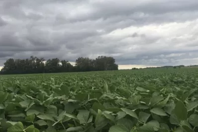 Comportamiento heterogéneo de las lluvias en el segundo semestre