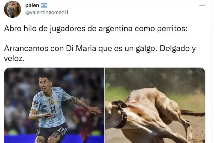 Desopilante: mirá el hilo de Twitter comparó a los jugadores de la Selección con perros de raza