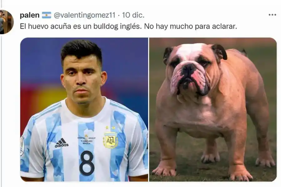 Desopilante: mirá el hilo de Twitter comparó a los jugadores de la Selección con perros de raza