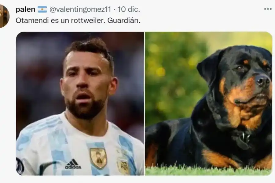 Desopilante: mirá el hilo de Twitter comparó a los jugadores de la Selección con perros de raza