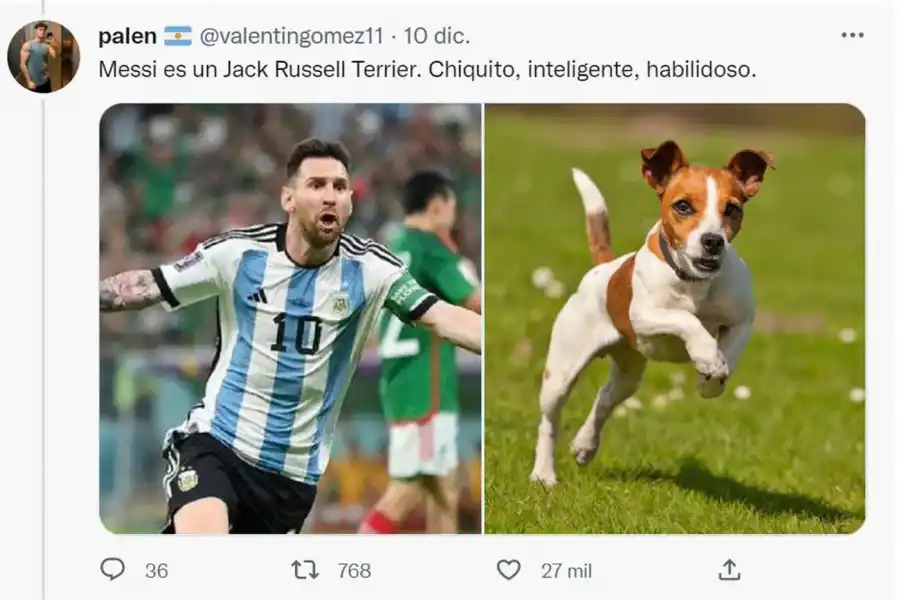 Desopilante: mirá el hilo de Twitter comparó a los jugadores de la Selección con perros de raza