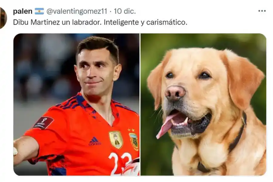 Desopilante: mirá el hilo de Twitter comparó a los jugadores de la Selección con perros de raza