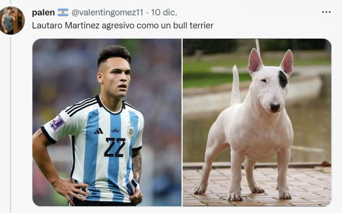 Desopilante: mirá el hilo de Twitter comparó a los jugadores de la Selección con perros de raza