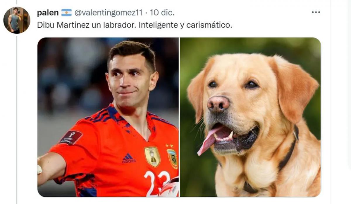 Desopilante: mirá el hilo de Twitter comparó a los jugadores de la Selección con perros de raza