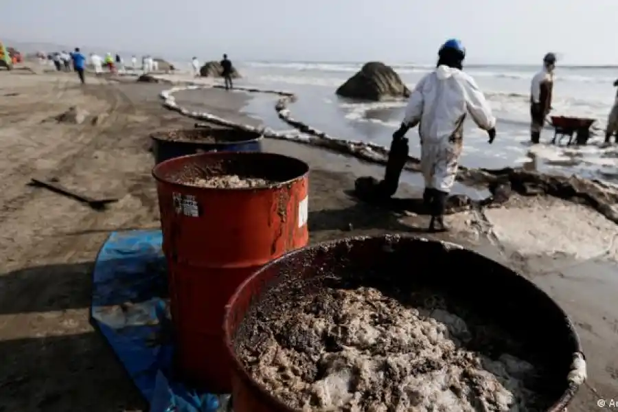 Un nuevo acuerdo para frenar la pérdida de biodiversidad