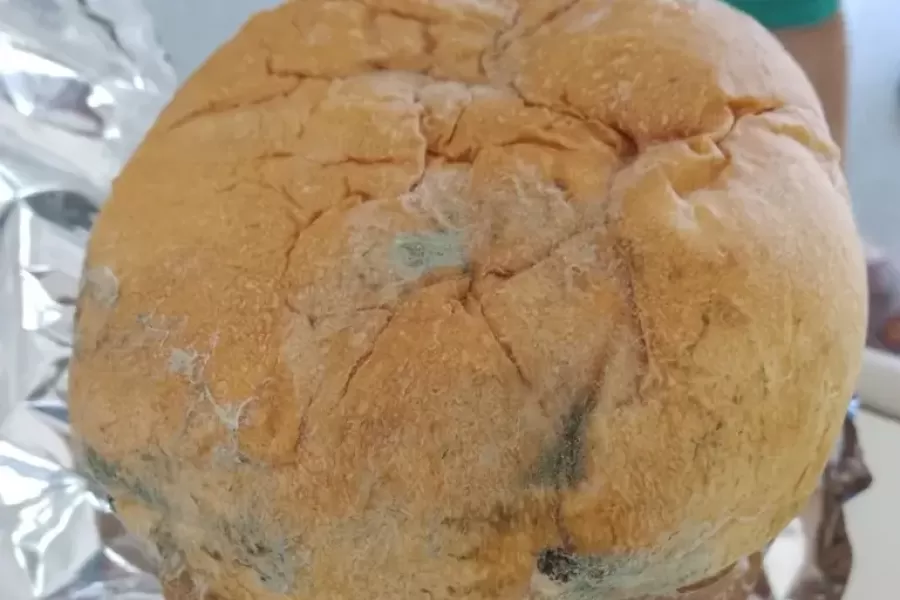 Comida navideña con gorgojos: la desagradable sorpresa que se llevaron trabajadores de una empresa nacional en sus cajas de fin de año