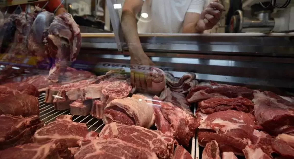 ¿Por qué se desaceleró la suba en el precio de la carne?