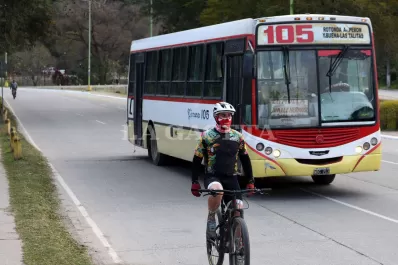 Cómo funcionarán los colectivos y la recolección de residuos este domingo de Navidad