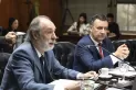 Diputados del Pro insisten con el juicio político al Presidente y quiren interpelar a Manzur y a Massa