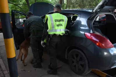 Detectan marihuana en falsas plantillas de zapatillas