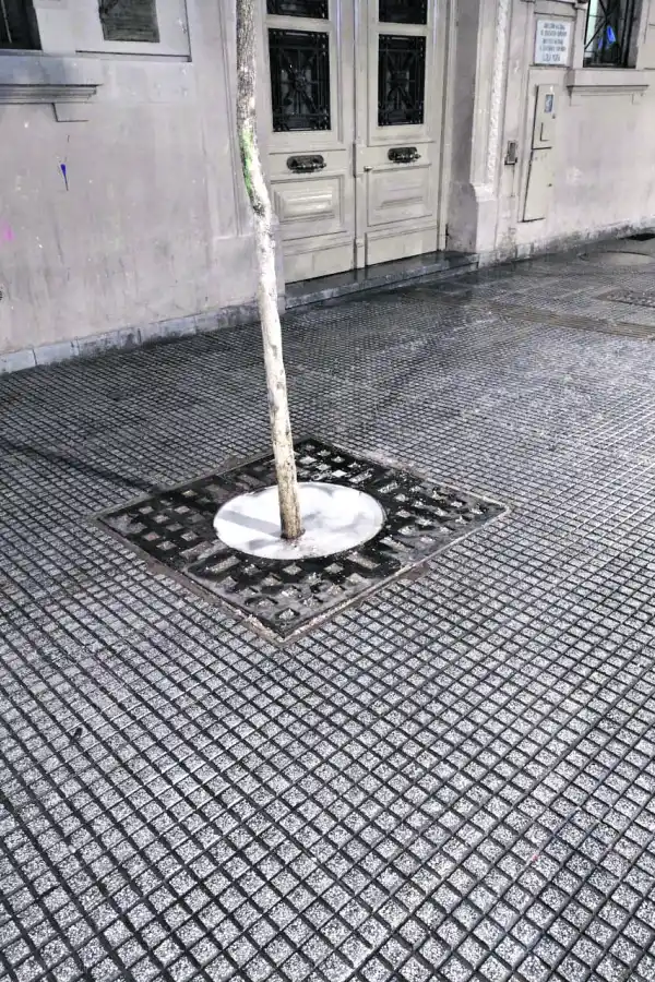 Puente de avenida América al 2.800: un paso “taponado” a propósito