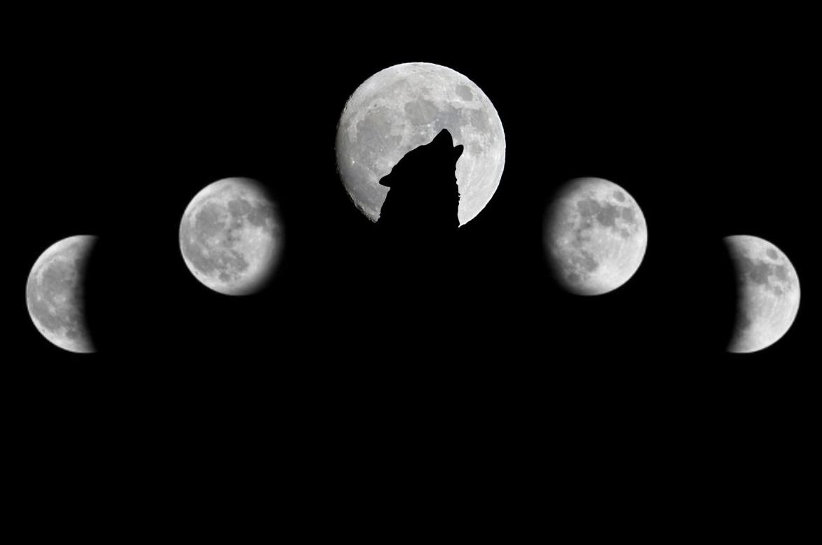 Luna de Lobo: cuál es su significado y cuándo podrá verse
