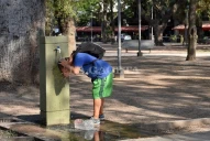 Alerta por una ola de calor: cómo cuidarse de las temperaturas elevadas