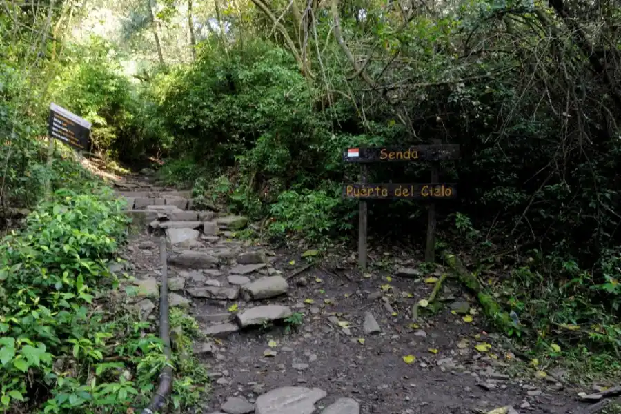 ATRACCIÓN. Las sendas del cerro son muy elegidas por los turistas. LA GACETA / FOTO DE franco vera