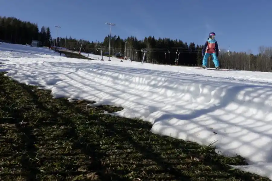 Las bajas temperaturas en Nueva Delhi, India también se replican en  los animales que se exponen al frío.   