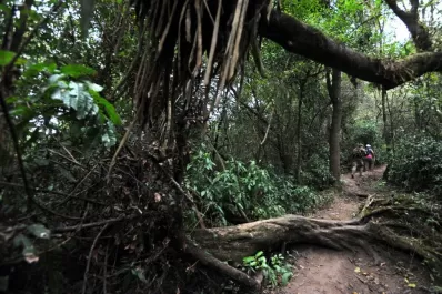 Caminatas en la naturaleza a 15 minutos del centro