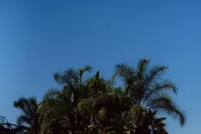 Un lugar de relax en la ciudad