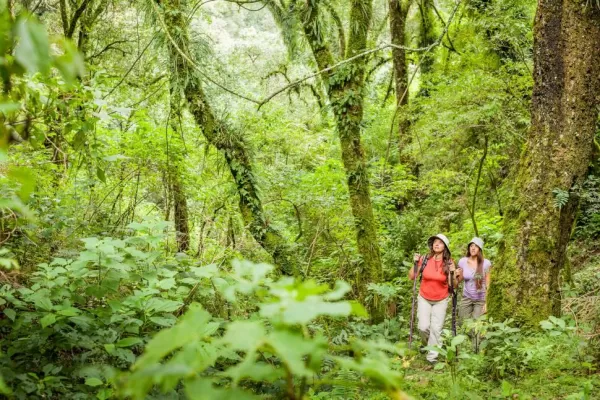 Un paraíso verde, a 15 minutos de la ciudad de Salta