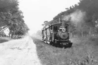 Un elogio de la yuta más de un siglo atrás