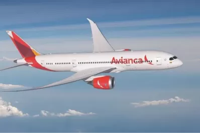 El macabro hallazgo en el tren de aterrizaje de un avión de Avianca