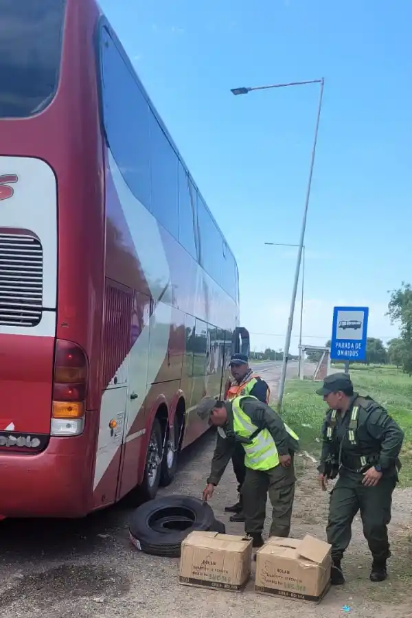 Operativo Lapacho: qué secuestraron las fuerzas de seguridad en las rutas de Tucumán