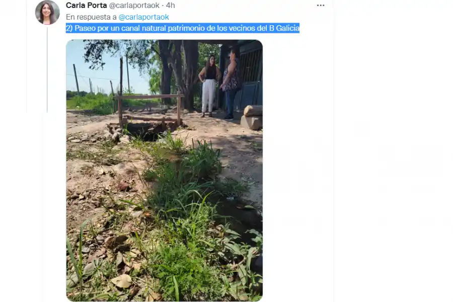 Una dirigente del PRO ironizó sobre la recomendación de veranear en El Boyero