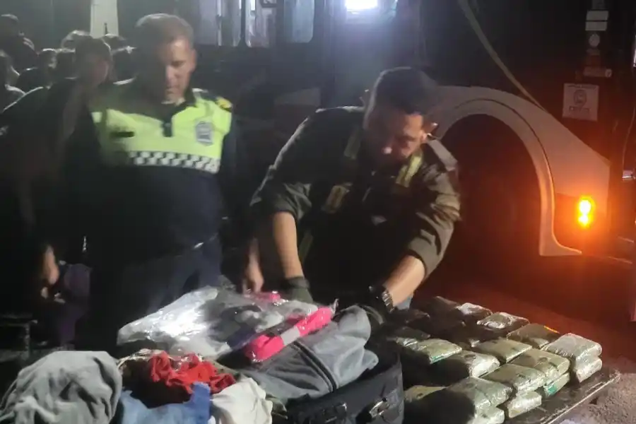 Operativo Lapacho: qué secuestraron las fuerzas de seguridad en las rutas de Tucumán