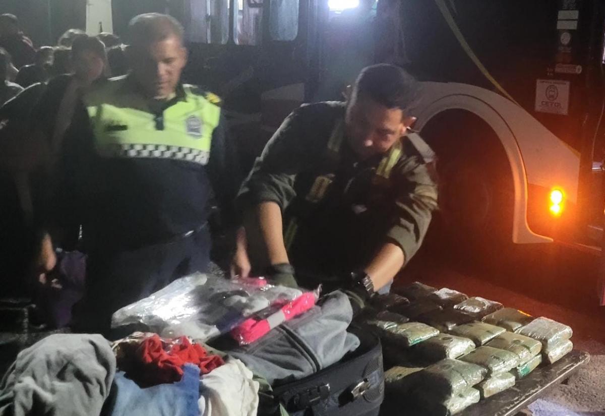 Operativo Lapacho: qué secuestraron las fuerzas de seguridad en las rutas de Tucumán