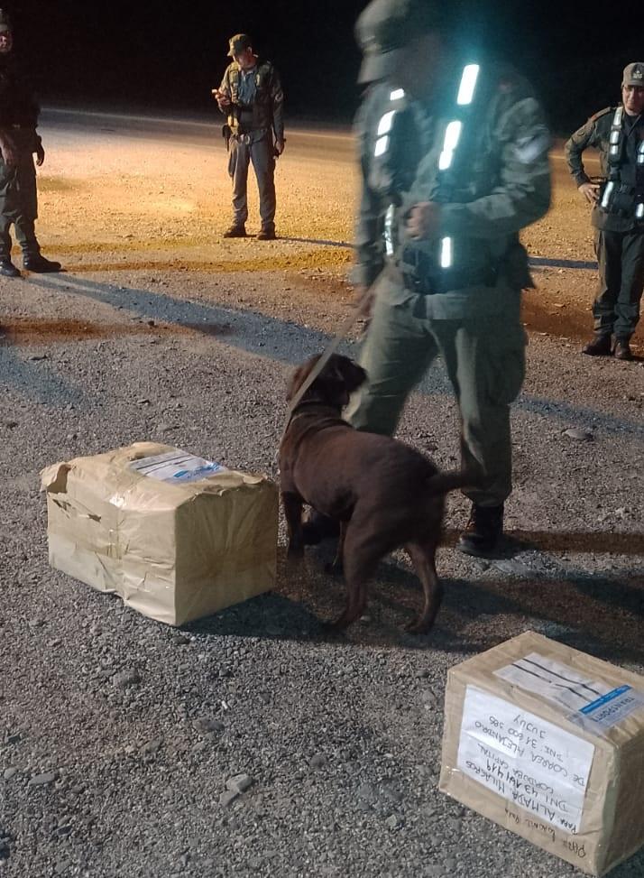 Operativo Lapacho: qué secuestraron las fuerzas de seguridad en las rutas de Tucumán