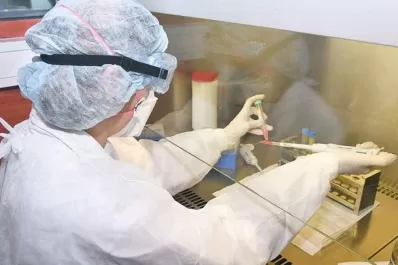 Perro del infierno, la nueva cepa de Ómicron, es responsable de la mitad de los casos de covid