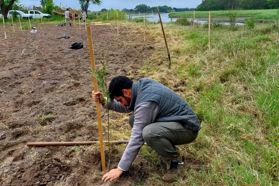 Buscan restaurar ecosistemas de ribera en la cuenca productiva del río Balderrama