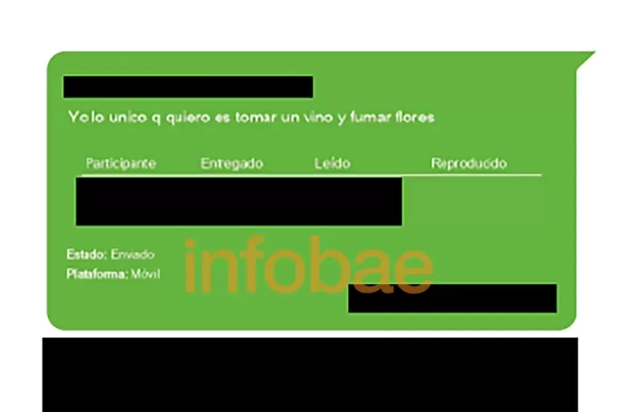 Juicio por Fernando Báez Sosa: La secuencia completa de los indignantes audios y chats de los rugbistas