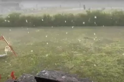 Granizo en Tafí del Valle: impactantes videos y fotos