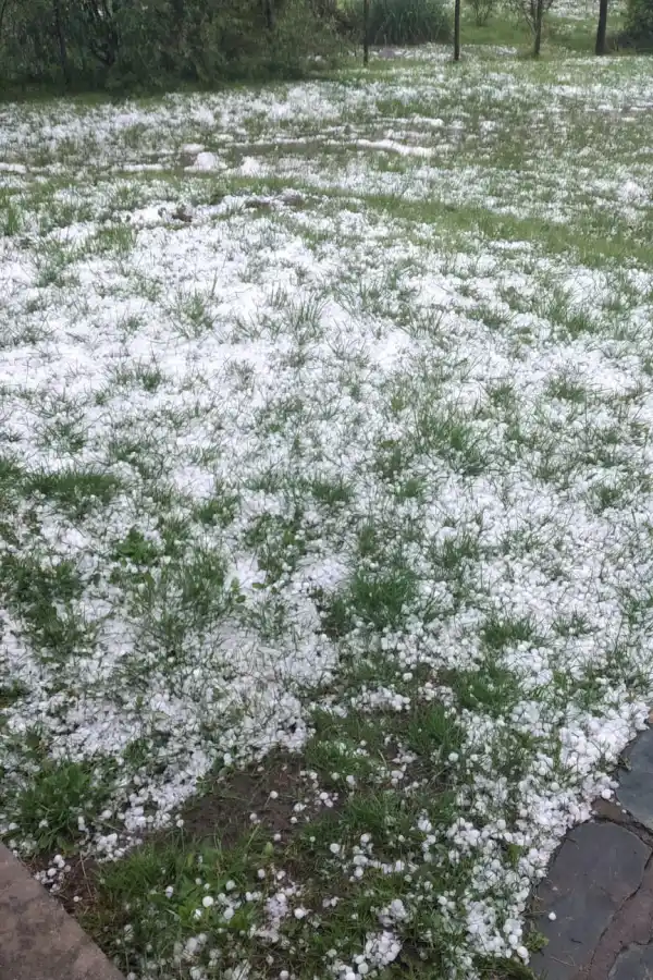 Granizo en Tafí del Valle: impactantes videos y fotos