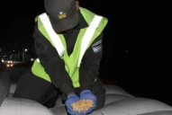 Gendarmería secuestró más de 65 toneladas de maíz