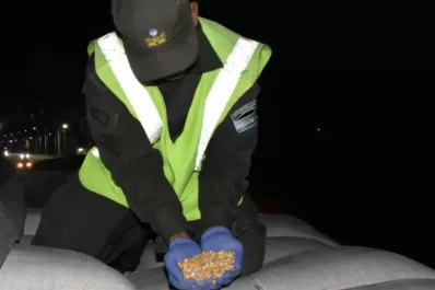 Gendarmería secuestró más de 65 toneladas de maíz